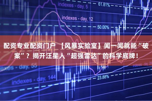 配资专业配资门户 【风暴实验室】闻一闻就能“破案”?揭开汪星人“超强雷达”的科学底牌!