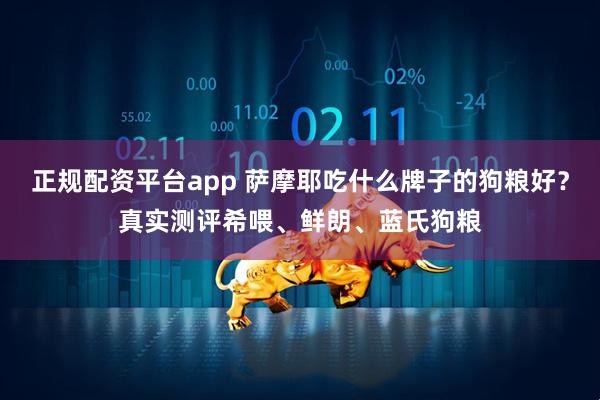 正规配资平台app 萨摩耶吃什么牌子的狗粮好？真实测评希喂、鲜朗、蓝氏狗粮