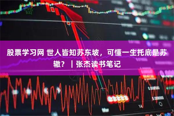 股票学习网 世人皆知苏东坡，可懂一生托底是苏辙？｜张杰读书笔记