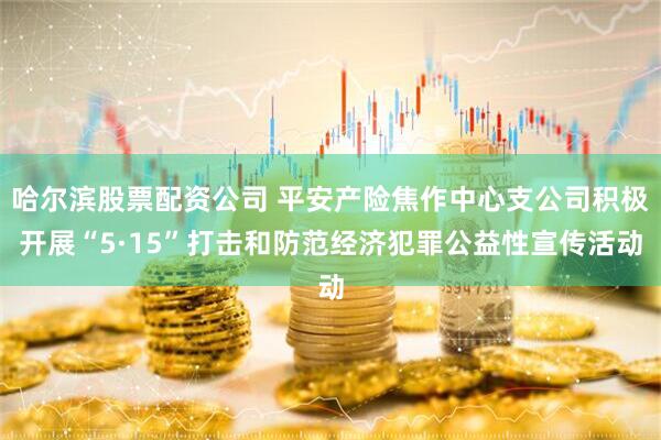 哈尔滨股票配资公司 平安产险焦作中心支公司积极开展“5·15”打击和防范经济犯罪公益性宣传活动