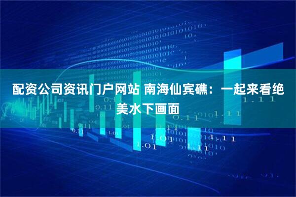 配资公司资讯门户网站 南海仙宾礁：一起来看绝美水下画面