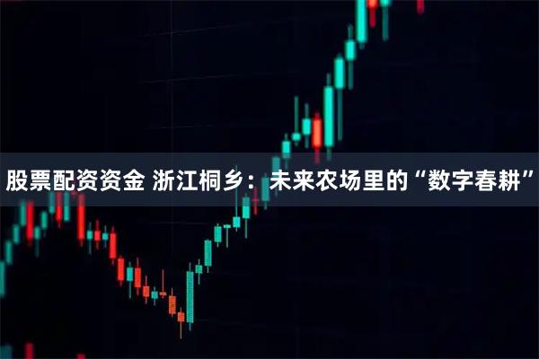 股票配资资金 浙江桐乡：未来农场里的“数字春耕”