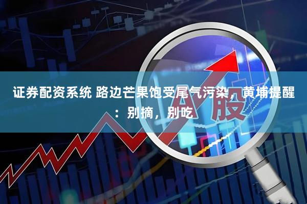 证券配资系统 路边芒果饱受尾气污染，黄埔提醒：别摘，别吃